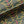 Plume velvet by Tatie Lou in pink and gold, draped, showing Deco plumes