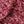 Pomegranate velvet by Annika Reed in burgundy, draped, showing pomegranates
