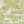 Pond Life wallpaper by Brand McKenzie in sage green, close view of lily pads and pond life