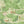 Pond Life wallpaper by Brand McKenzie in green, pattern detail of lily pads and pond life