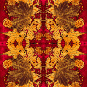 Red River velvet by Dami and Em Design in red and gold, full repeat of a mirrored marble design