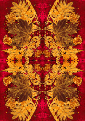 Red River velvet by Dami and Em Design in red and gold, full repeat of a mirrored marble design