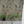 Resplendent Woods superwide wallpaper by Deus ex Gardenia in sage green in a styled room setting