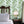Rubber Plant wallpaper by Annika Reed in sage green, rubber plant leaves in a bedroom