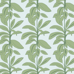 Rubber Plant wallpaper by Annika Reed in sage green, flat sample of rubber plant leaves