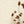 Savannah Plain wallpaper by The Monkey Puzzle Tree in beige, close-up of a textured grass effect