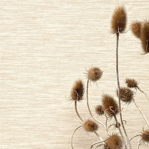 Savannah Plain wallpaper by The Monkey Puzzle Tree in beige, close-up of a textured grass effect