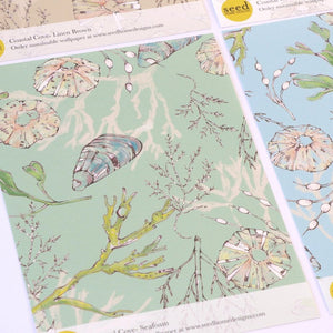 Coastal Cove wallpaper by Seed Home Designs in green, pattern sample of line-drawn shells and seaweed