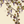 Seasons of the Vine wallpaper by Dami and Em Design in cream, close-up of grape vines