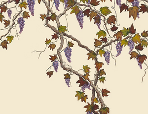 Seasons of the Vine wallpaper by Dami and Em Design in cream, close-up of grape vines