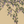 Seasons of the Vine wallpaper by Dami and Em Design in beige, full repeat of grape vines