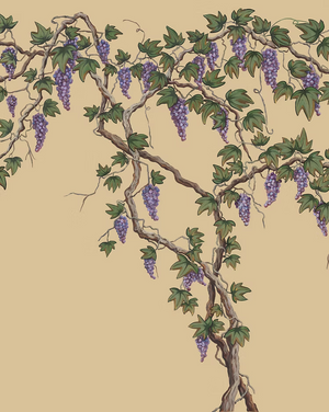 Seasons of the Vine wallpaper by Dami and Em Design in beige, full repeat of grape vines