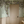 Seasons of the Vine wallpaper by Dami and Em Design in green, grape vines in a hallway