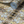 Shell wallpaper by Dami and Em Design in gold, roll showing shell motifs