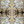 Shell wallpaper by Dami and Em Design in gold, full repeat of shell motifs