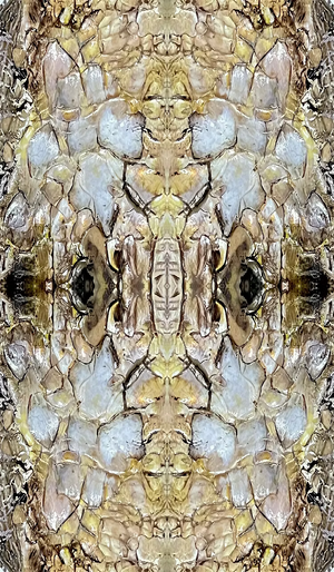 Shell wallpaper by Dami and Em Design in gold, full repeat of shell motifs