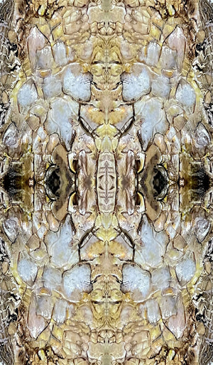 Shell velvet by Dami and Em Design in gold, full repeat of shell motifs