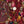 Showtime wallpaper by Brand McKenzie in red, vintage theatre performers on a hallway wall