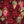 Showtime wallpaper by Brand McKenzie in red, close view of vintage theatre performers