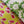 Sycamore linen by Bethie Tricks in yellow and pink, in soft folds showing sycamore seeds
