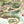 Tally Ho! wallpaper by Brand McKenzie in green, detail of a countryside landscape