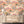 The Glitter Ranch wallpaper by Brand McKenzie in peach, pattern detail of a desert ranch scene