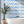 Wave After Wave wallpaper by Seed Home Designs in blue and white, wavy watercolour lines on a bathroom wall