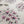 White Hydrangea fabric by Seed Home Designs in pink and grey, flat sample of hydrangea flower heads