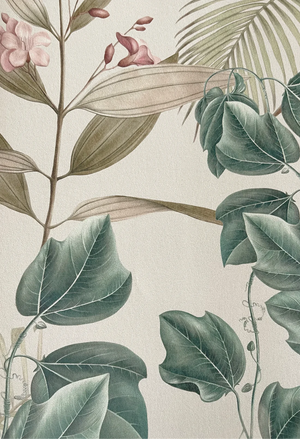 Wild Ivy wallpaper by Deus ex Gardenia in grey, flat sample of climbing ivy