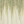 Willow wallpaper by Dami and Em Design in green and cream, full repeat of trailing willow leaves