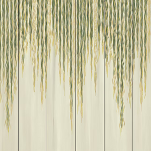 Willow wallpaper by Dami and Em Design in green and cream, full repeat of trailing willow leaves