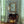 Winged Lion wallpaper by Annika Reed in blue, winged lions above a sideboard
